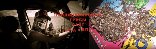 метадон Богданович