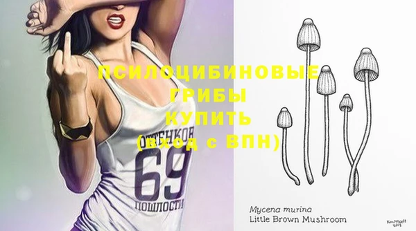 гашик Богородицк