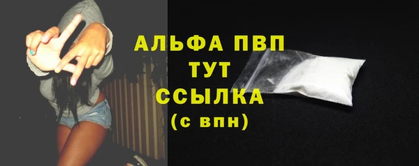 метадон Богданович