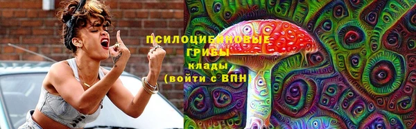 метадон Богданович