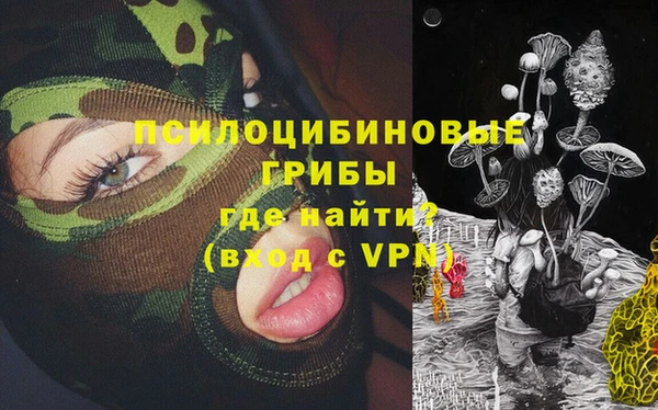 стаф Богородск