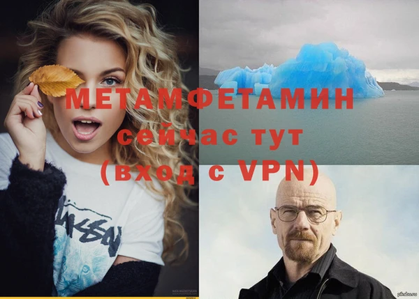 метадон Богданович