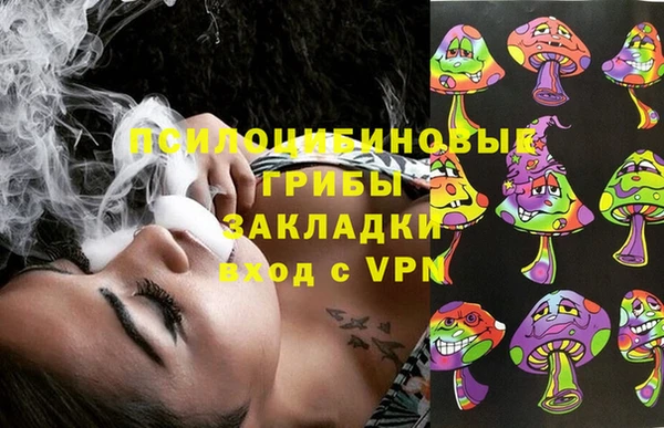 прущий лед Рославль