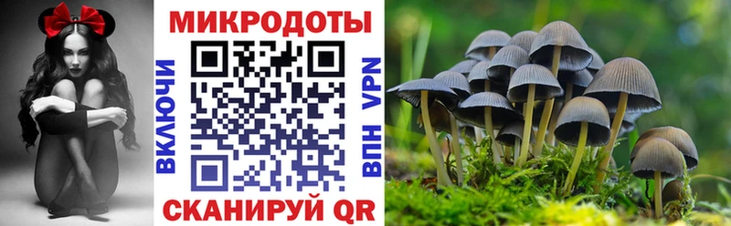 Галлюциногенные грибы мицелий  наркотики  Дагестанские Огни 